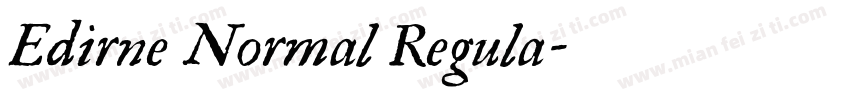 Edirne Normal Regula字体转换